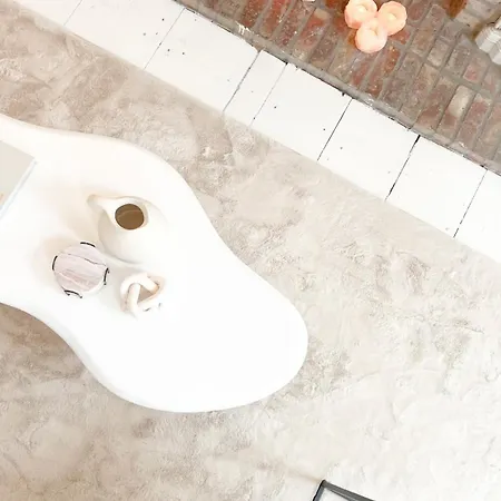 Mansion Rl With Unique Decoration Appartement Anvers